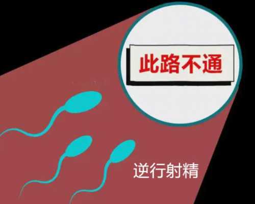 广州机构做供卵,广州人工受孕多少钱